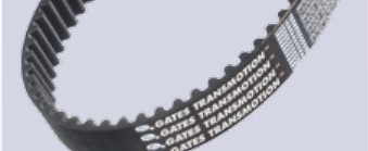 TransMotion™:  